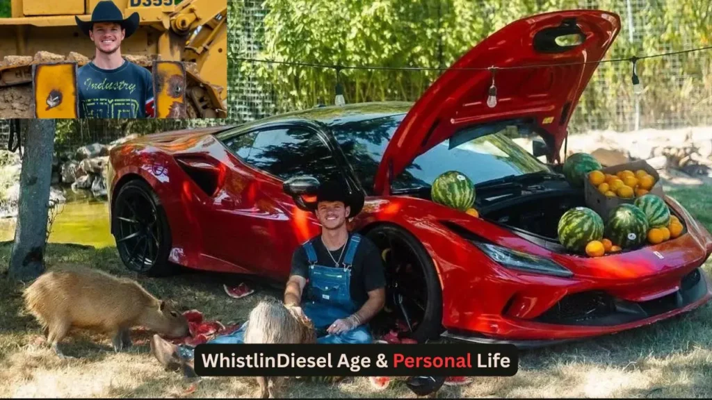 WhistlinDiesel Income & Earnings