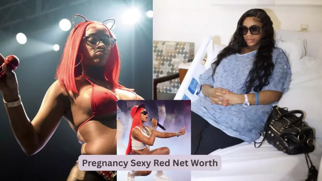 Pregnancy Sexy Red Net Worth